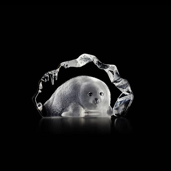 Baby Seal Crystal Scrulpture