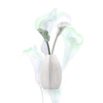 صورة مصغرة للمنتج 2