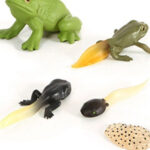 صورة مصغرة للمنتج 1