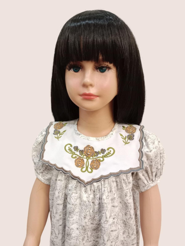 Baby dress with embroidered collar design