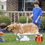 صورة مصغرة للمنتج 2