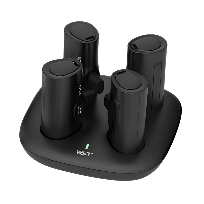 بوربانك دبل يو إس تي ٤ في ١ تايب سي ولايتنينج 4-in-1 USB Type-C and Lightning Power Bank