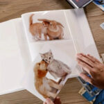 صورة مصغرة للمنتج 2