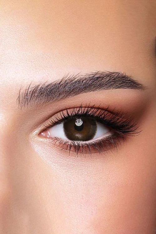 Bella Daily Lense Cedar