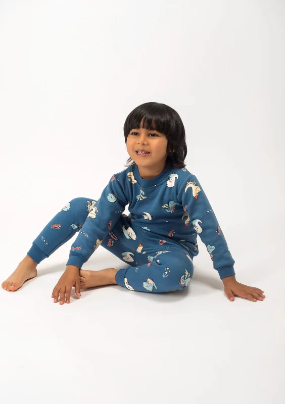 BeCosy kid's winter blue PJ set with dino print