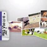 صورة مصغرة للمنتج 4