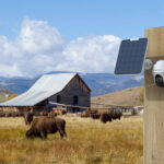 صورة مصغرة للمنتج 4