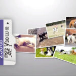 صورة مصغرة للمنتج 3