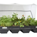 صورة مصغرة للمنتج 1