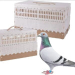 صورة مصغرة للمنتج 1