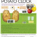 4M Kidz Labs / Green Science - Potato Clock 48603275