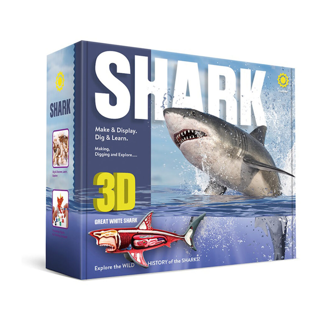 Tp Toys 3D Shark Anatomy Model