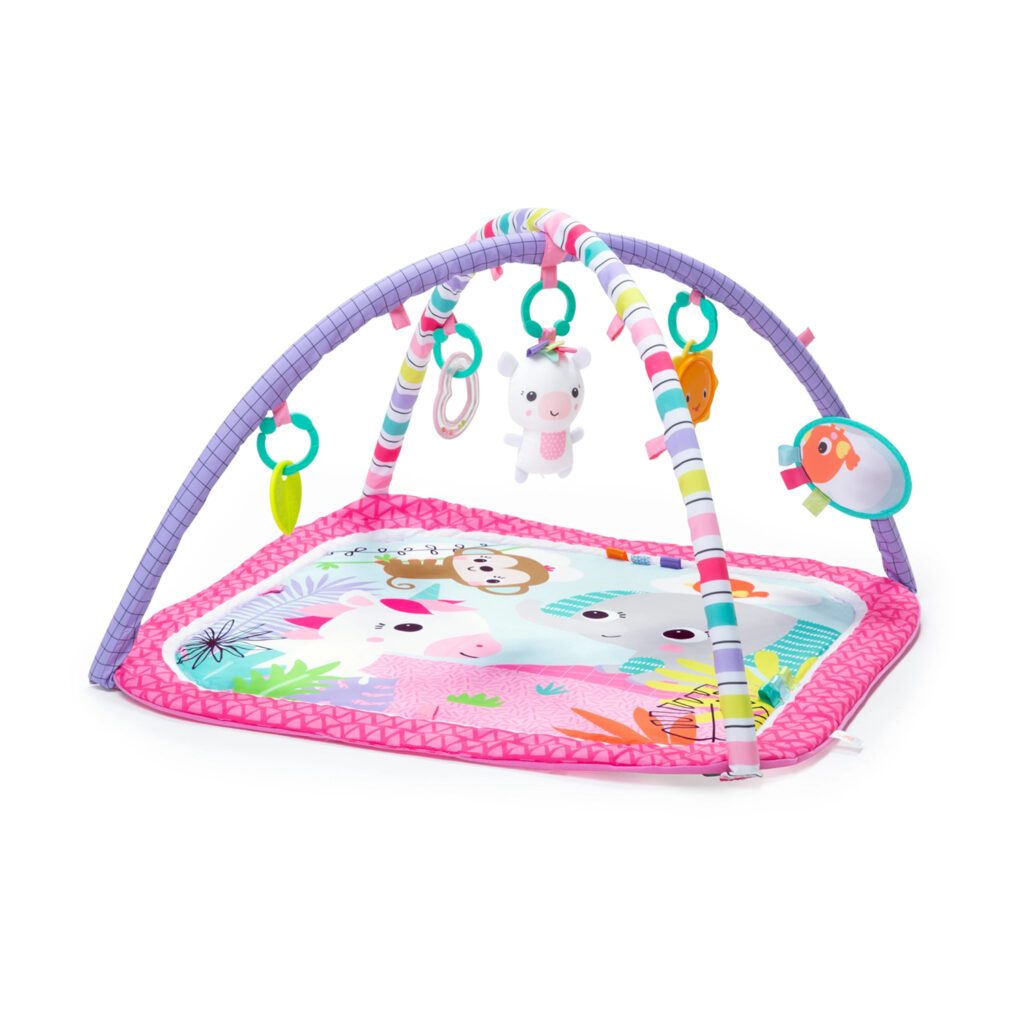 Bright Starts Daydream Blooms Activity Gym Refresh