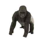 صورة مصغرة للمنتج 1