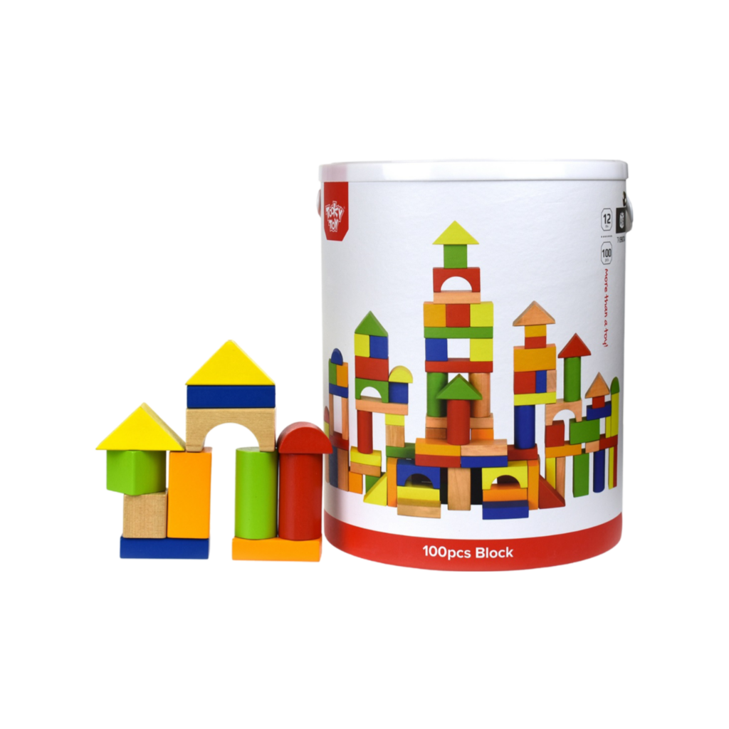 Tooky Toy 100Pcs Blocks
