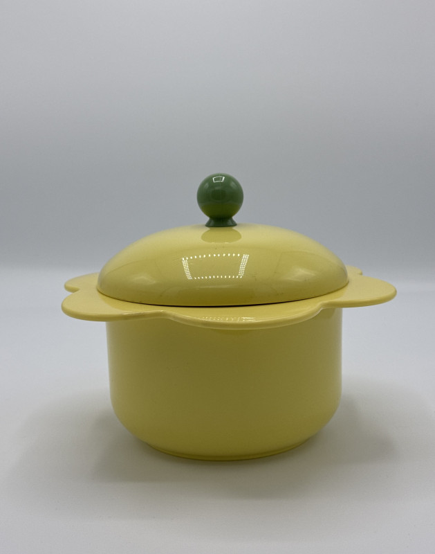 stylish and versatile thermal serving bowl