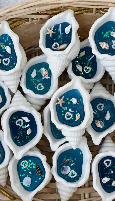 شمعة صدفة البحر