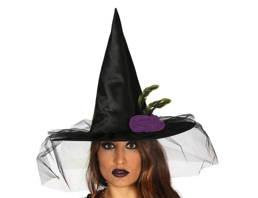 Witch Hat With Veil