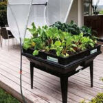 صورة مصغرة للمنتج 1