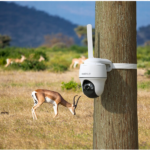 صورة مصغرة للمنتج 4