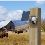 صورة مصغرة للمنتج 3